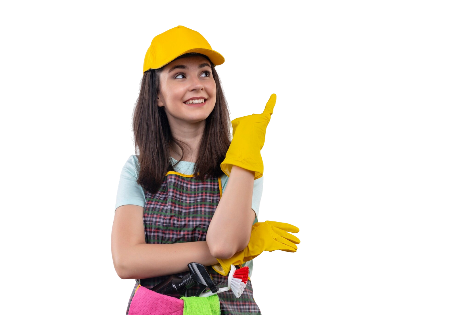 Cleaning Professional